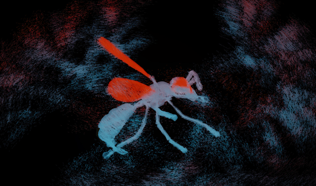 Real Time visuals set for Pauk at Videolooking Festival